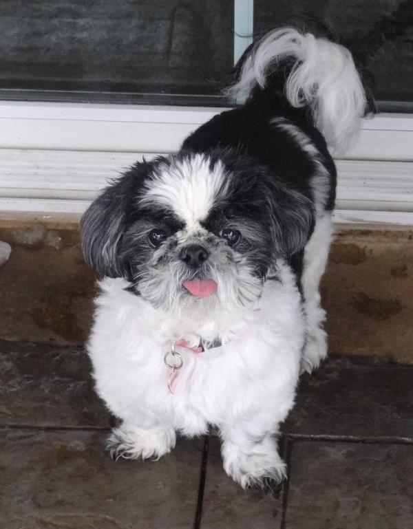 /Images/uploads/Humane Rescue Alliance/HRACalendarPhotoContest/entries/8457thumb.jpg